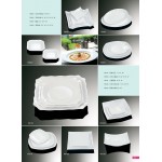 Catalogue18-Oval plate /Square plate