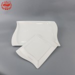 PD2081-Oblong plate