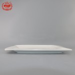 PD2081-Oblong plate